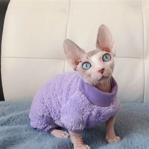 Sweater sphynx cat - Warm Pet Sweater Sphynx Cat Clothes Fashion Soft Cat Apparel Comfort Thickened Winter Sphinx Hairless Cat Clothes (XL) Visit the DUOMASUMI Store. 4.3 4.3 out of 5 stars 93 ratings. $15.99 $ 15. 99. Get Fast, Free Shipping with Amazon Prime. FREE Returns . Return this item for free.